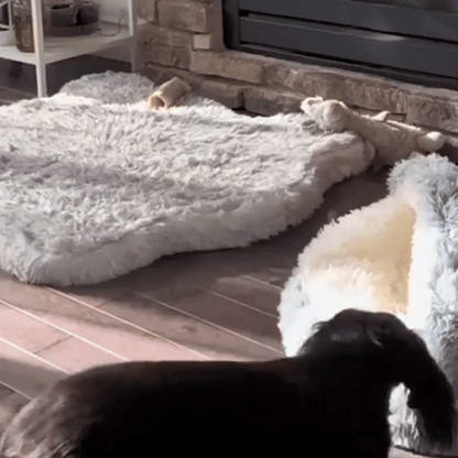 COZY COCOON BED
