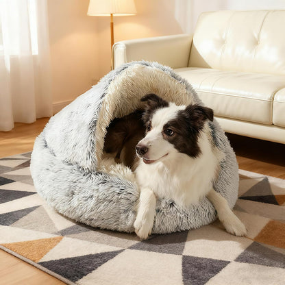 COZY COCOON BED