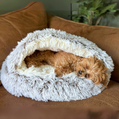 COZY COCOON BED